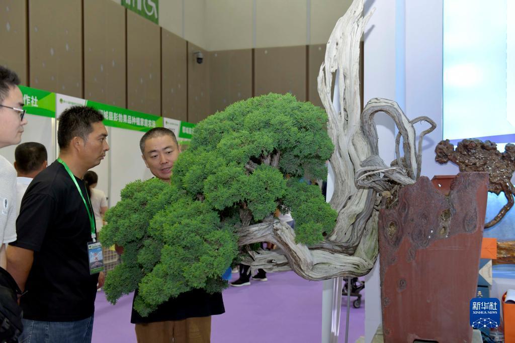 上海市金沙